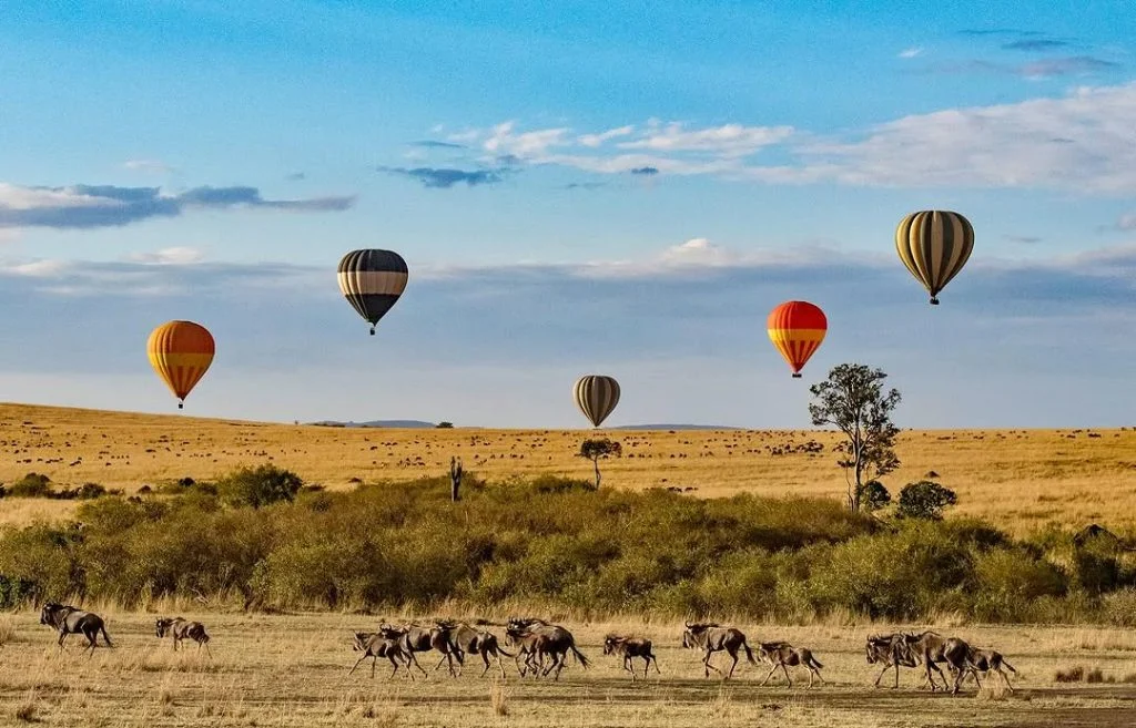 Kenya a luglio