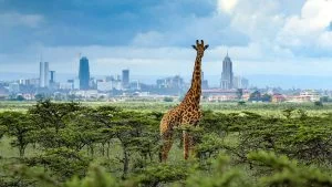 Kenya safari da Nairobi